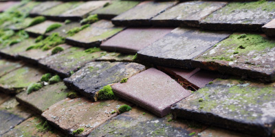 Dinton roof repair costs